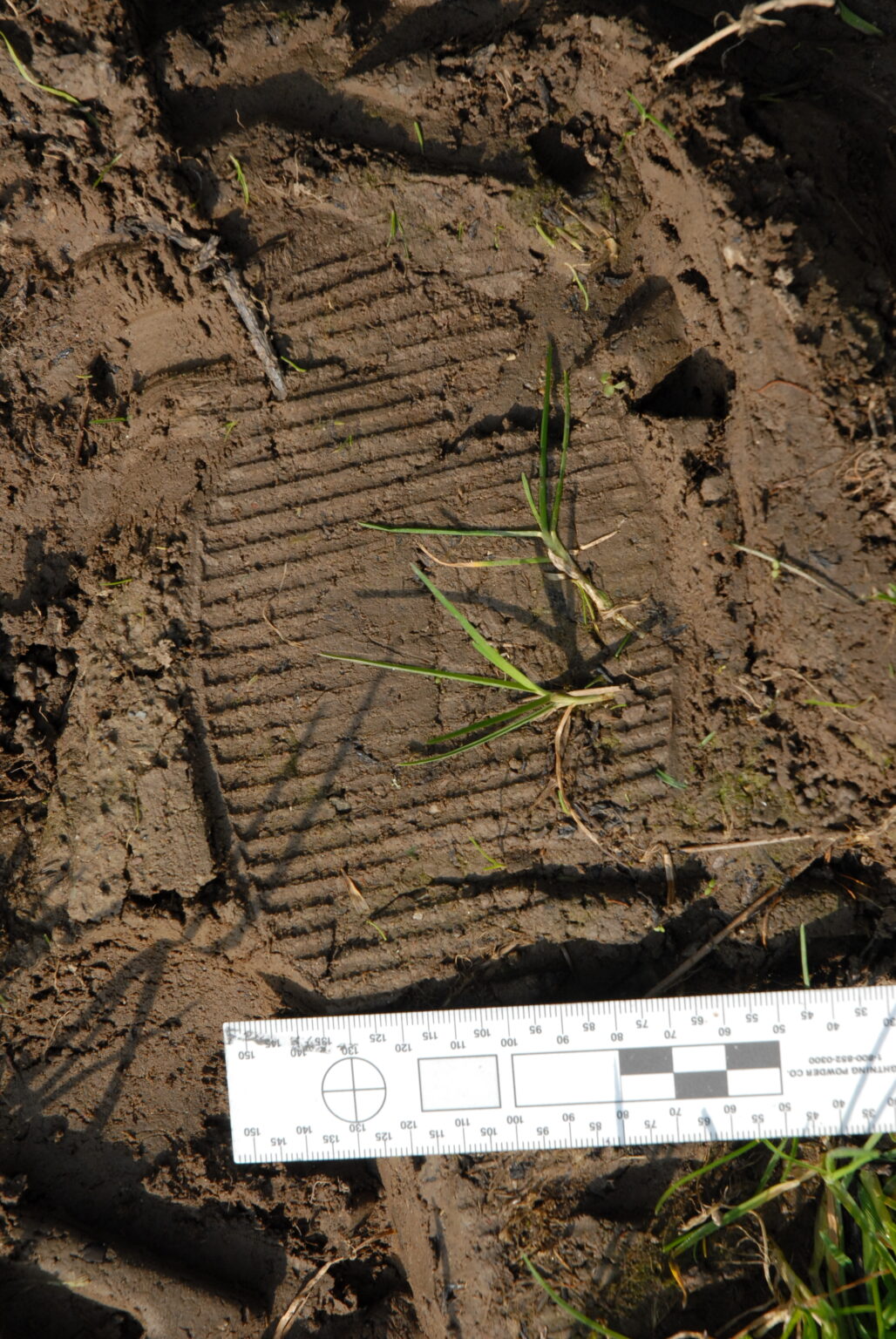 Impression Analysis - Forensic Science Ireland